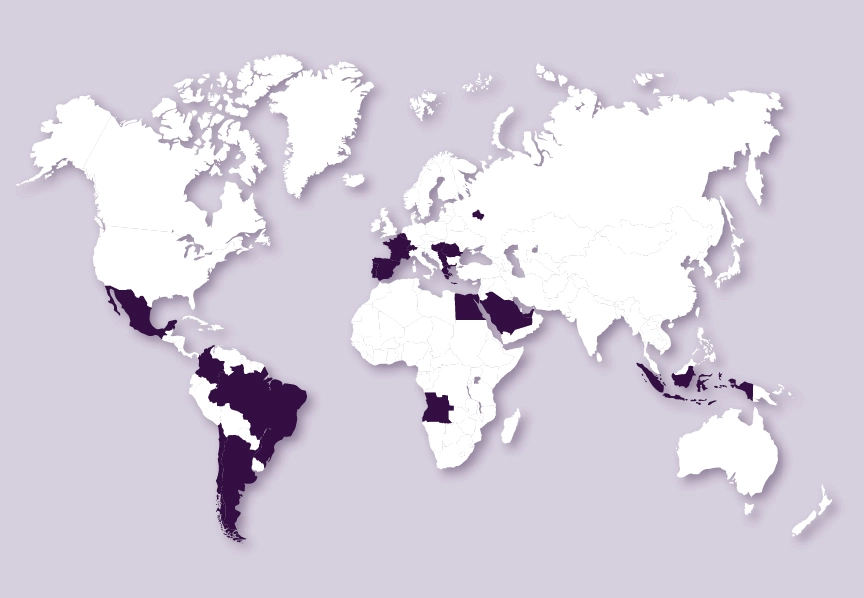 Carte du monde avec la présence international des pressings 5àsec